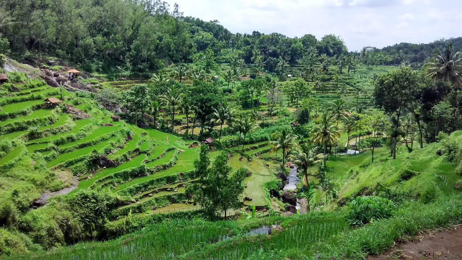 Pesona Air Terjun Kedung Kandang Wisata Indah Di Tengah Sawah Bertingkat