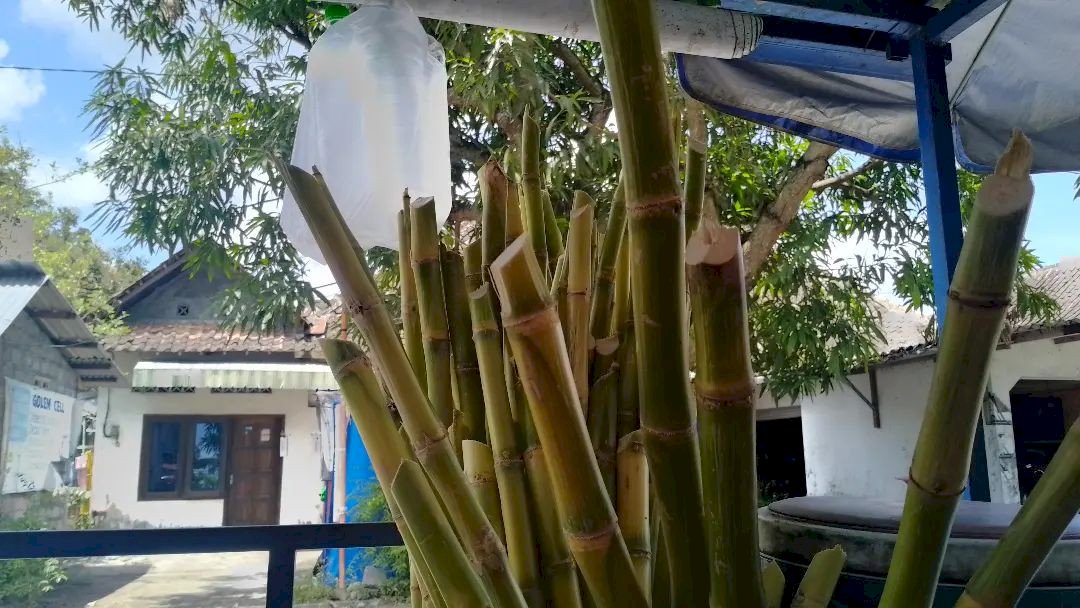 Bingung Minum Es Apa di Siang Hari? Cobain Es Tebu Jogja Kuliner Nyegerin yang Ampuh Hilangkan Haus. Gambar : IG @agus_budi_prasetya23