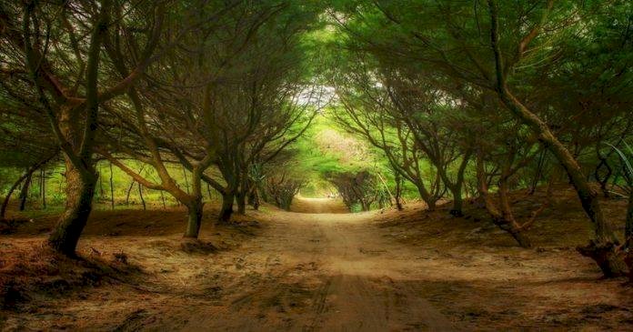 Pantai Cemoro Sewu, Rekomendasi Wisata Pantai yang Tak Hanya Main Air Melulu. Gambar : 