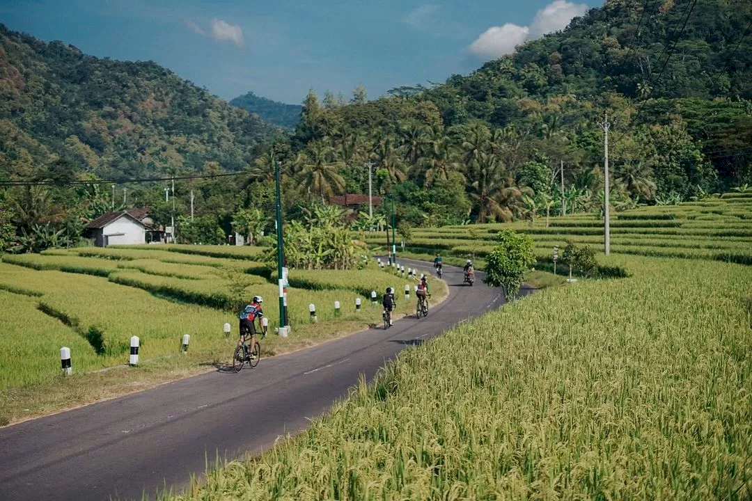 Jelajah Alam, Budaya, dan Edukasi di Desa Wisata Tinalah. Gambar : kabarbumn.com