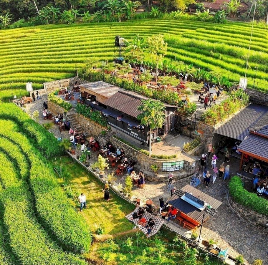 Terasa Berbeda, 5 Rekomendasi Restoran dengan View Sawah yang Menakjubkan di Yogyakarta. Gambar : krjogja.com