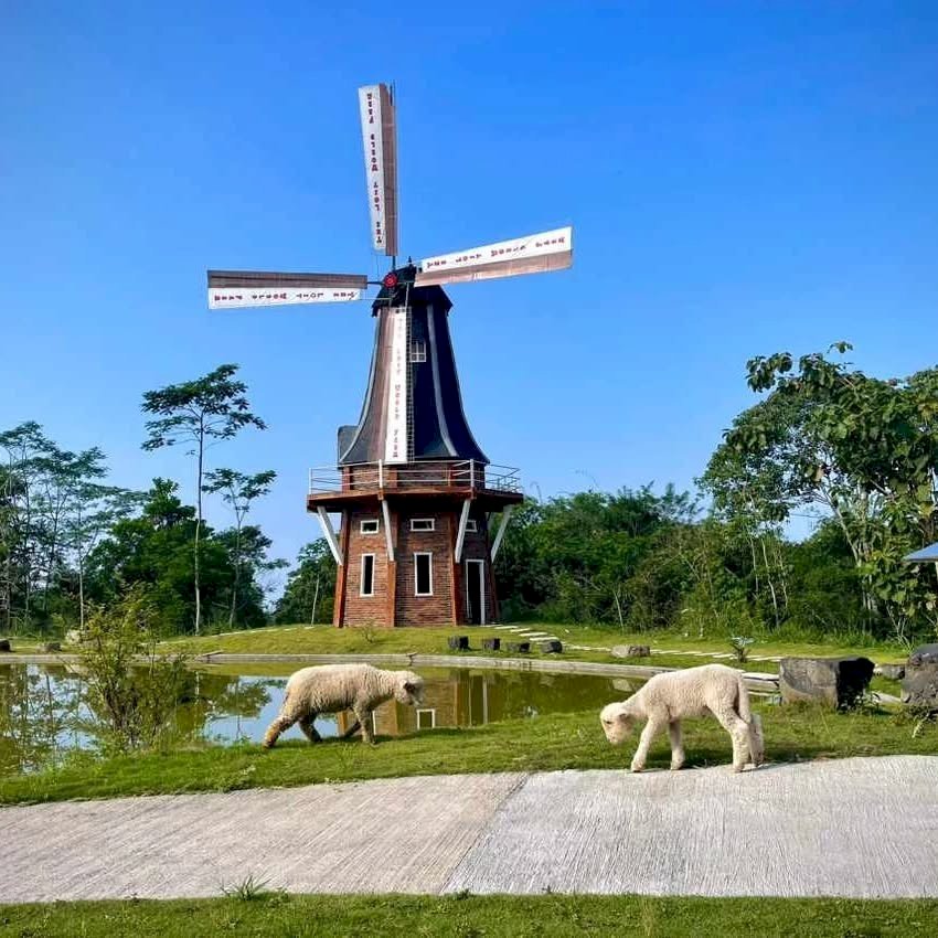 Serasa di Dunia Lain! The Lost World Farm Jogja Punya View & Spot Foto Sekeren Ini!. Gambar : ig @thelostworldfarm