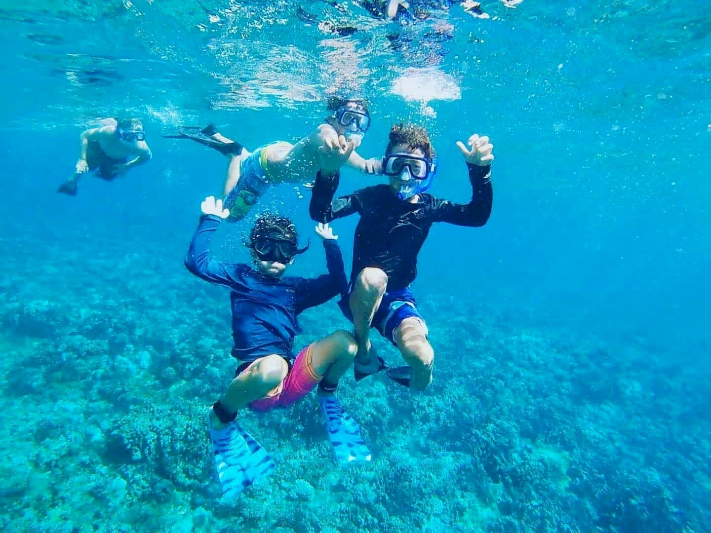 Tak Hanya Ombak Besar, Ternyata 4 Pantai di Jogja ini Juga Punya Spot Snorkeling Menakjubkan. Gambar : hawaiioceanrafting.com