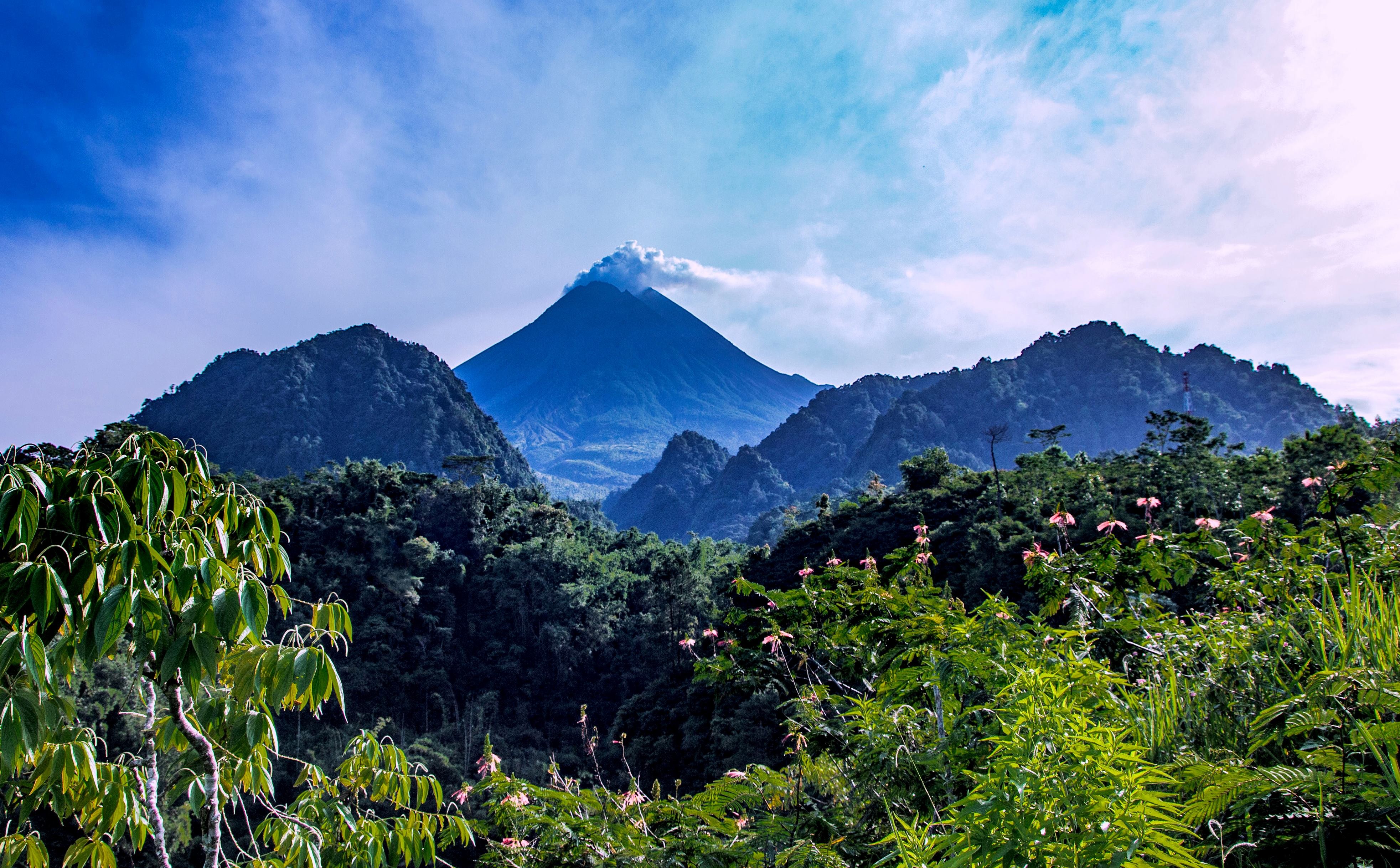 Bukit Plawangan Sleman: Jejak Sejarah dan Pesona Alam yang Menawan, dijogja.co. Bukit Plawangan Sleman: Jejak Sejarah dan Pesona Alam yang Menawan.