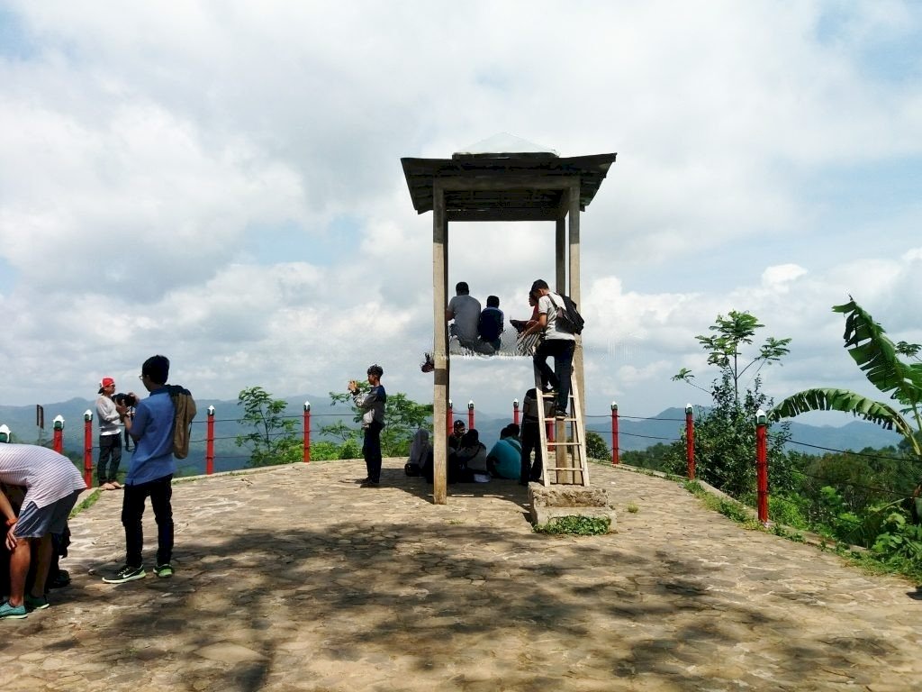 Eksplorasi Kebun Teh dan Hutan Pinus di Gunung Jaran, Yogyakarta, dijogja.co. Eksplorasi Kebun Teh dan Hutan Pinus di Gunung Jaran, Yogyakarta.