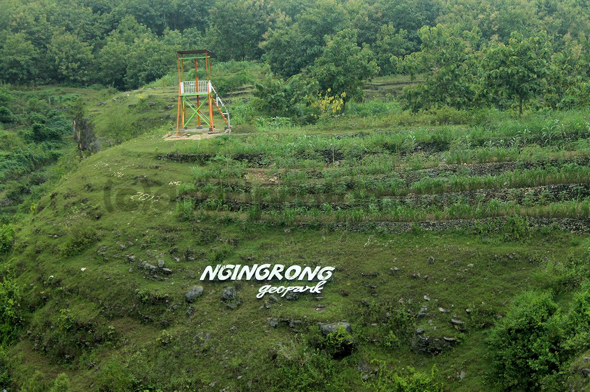 Geosite Ngingrong: Menyelami Keindahan Alam di Kabupaten Gunungkidul, dijogja.co. Geosite Ngingrong: Menyelami Keindahan Alam di Kabupaten Gunungkidul.