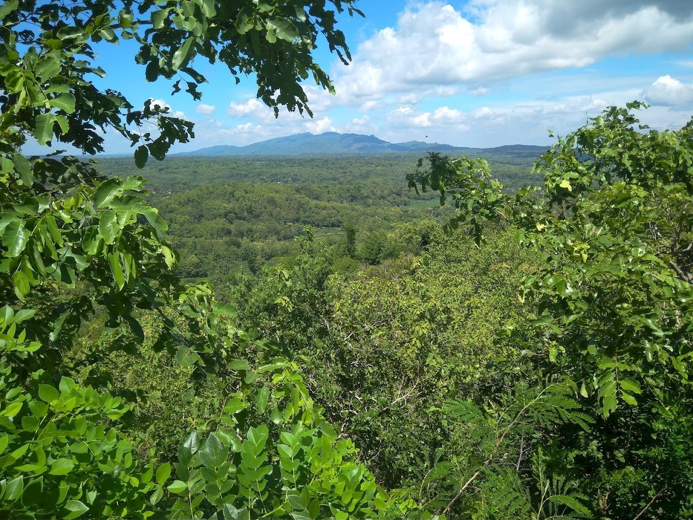 Keindahan Tersembunyi di Pesona Mbangke: Bukit Hijau yang Menenangkan, dijogja.co. Keindahan Tersembunyi di Pesona Mbangke: Bukit Hijau yang Menenangkan.