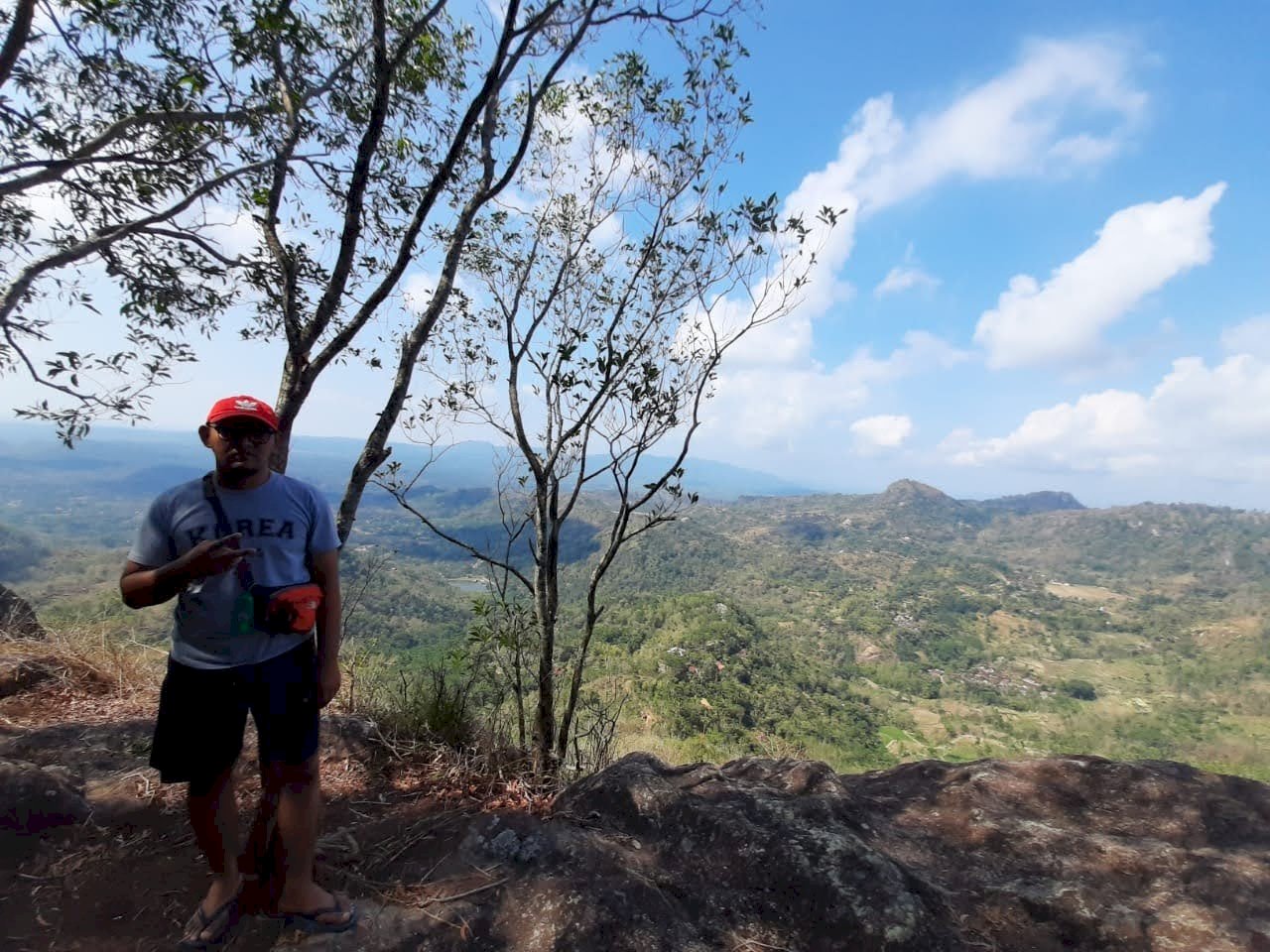 Menjelajahi Keindahan Tersembunyi Hutan Kenongo di DIY Yogyakarta, dijogja.co. Menjelajahi Keindahan Tersembunyi Hutan Kenongo di DIY Yogyakarta.