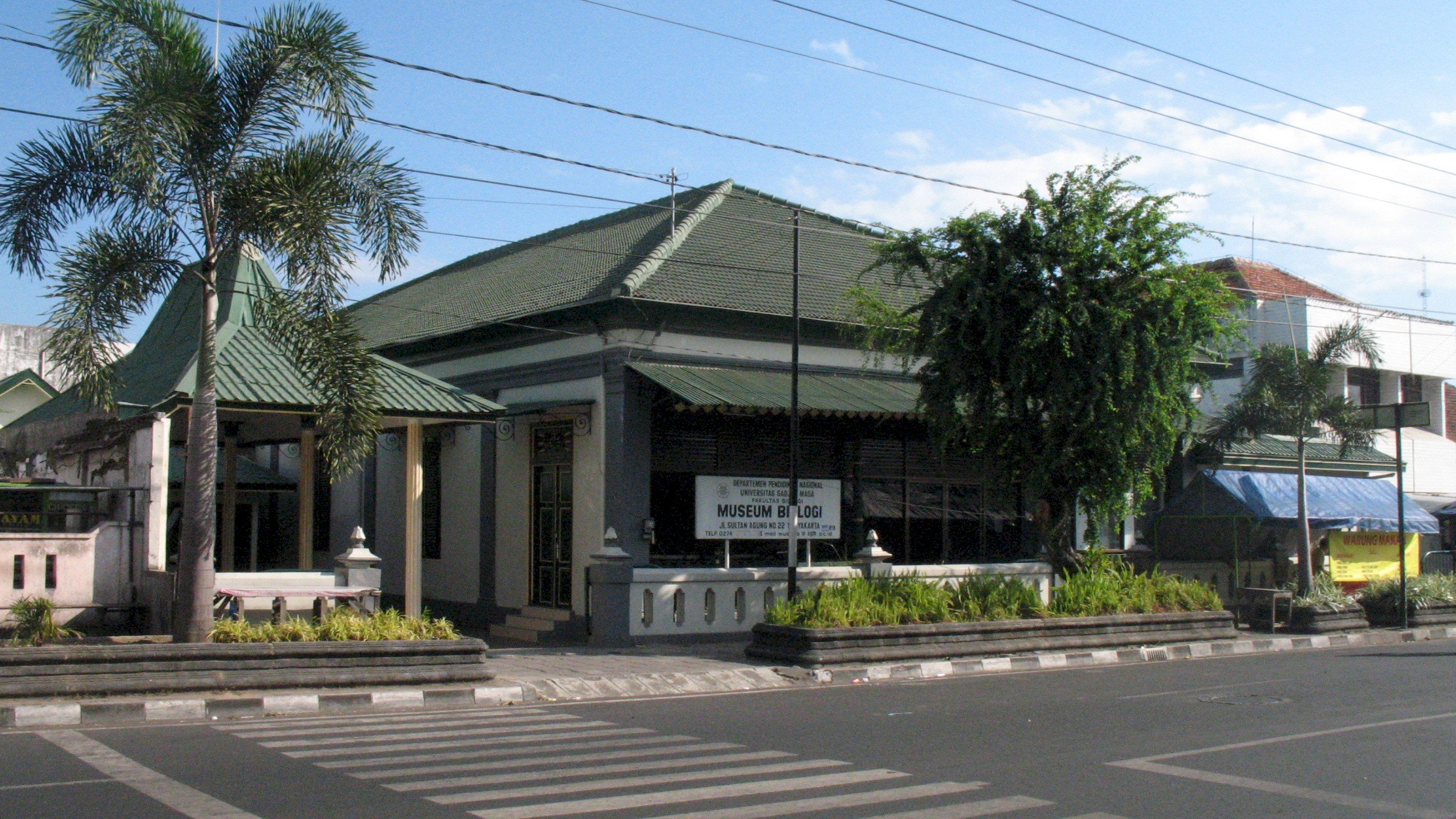 Museum Biologi UGM: Mengenal Flora dan Fauna Indonesia Secara Mendalam, dijogja.co. Museum Biologi UGM : Mengenal Flora dan Fauna Indonesia Secara Mendalam.