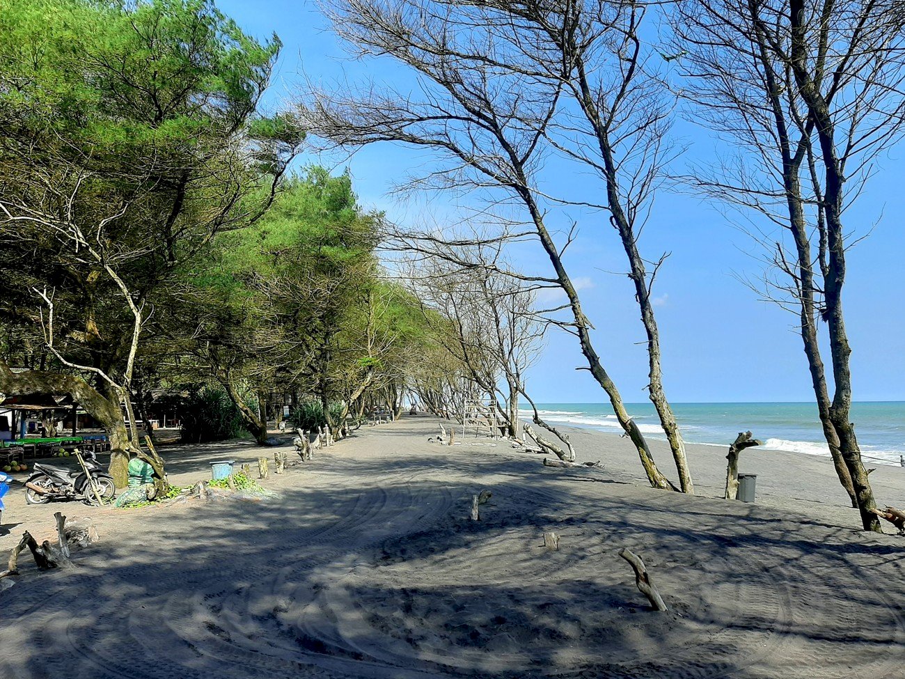 Pantai Pandansimo: Pesona Alam dan Mistisnya yang Menggoda di Yogyakarta, dijogja.co. Pantai Pandansimo: Pesona Alam dan Mistisnya yang Menggoda di Yogyakarta.