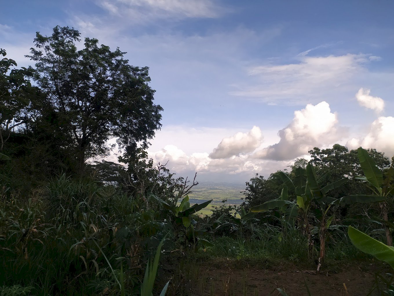 Puncak Cabaan: Menjelajahi Keindahan Alam dalam Berkemah yang Tak Terlupakan, dijogja.co. Puncak Cabaan: Menjelajahi Keindahan Alam dalam Berkemah yang Tak Terlupakan.