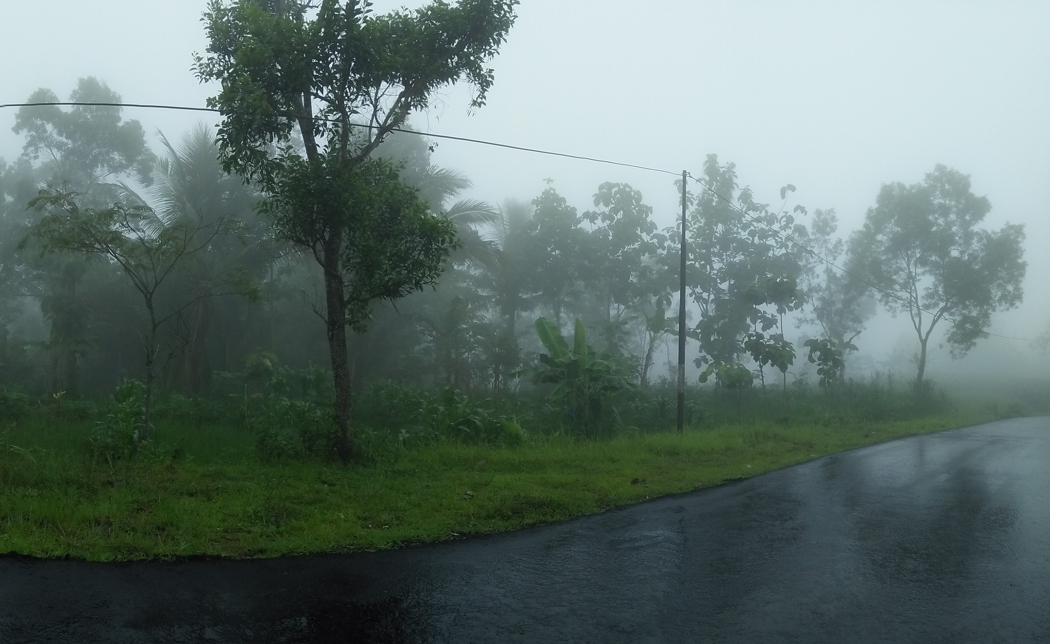 Puncak Tlogomunyeng: Rahasia Tersembunyi Gunungkidul yang Mempesona, dijogja.co. Puncak Tlogomunyeng: Rahasia Tersembunyi Gunungkidul yang Mempesona.