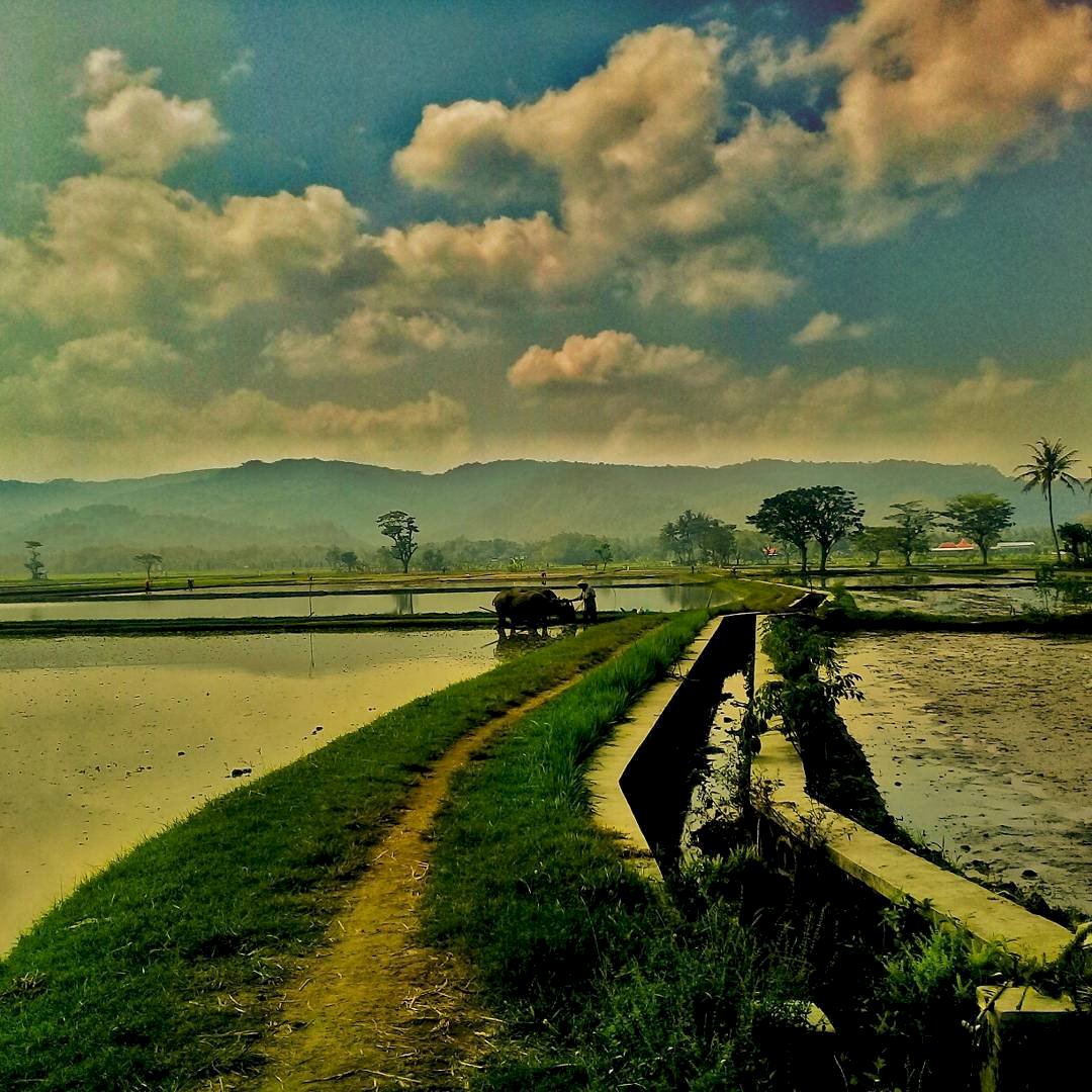 Wisata 4 in 1 Desa Kebonagung Yogyakarta :  Info Tiket Masuk, Lokasi, Jam Buka, Fasilitas, & Spot Foto Terbaru. Wisata 4 in 1 Desa Kebonagung Yogyakarta, Wisata Desa Bernafaskan Pendidikan dan Pertanian .