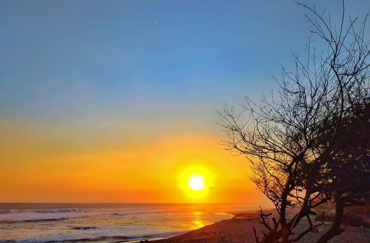 Pantai Trisik: Keindahan Pedesaan Pesisir Kulon Progo, Dijogja.co